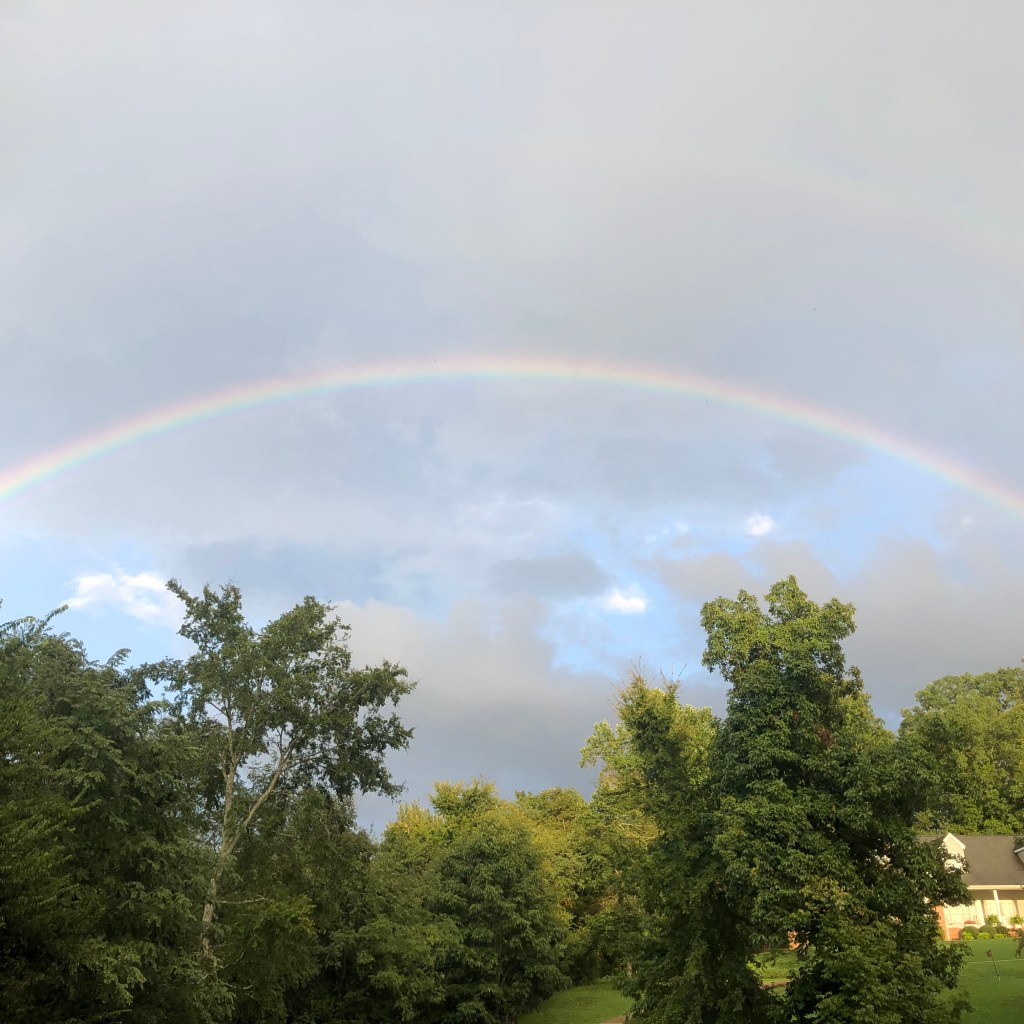 The joy of seeing a rainbow after a storm is a choice.